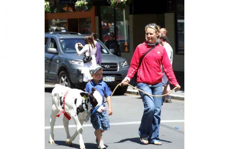 Jane Strang, of Five Forks, helps son Ben (5) lead his prize-winning calf.