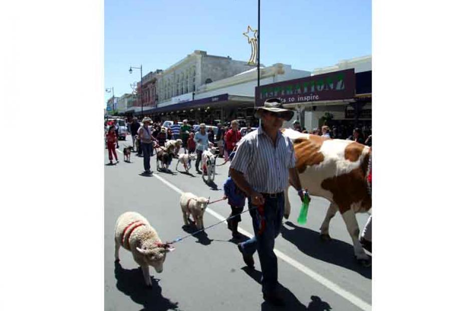 Tapui farmer Peter Dodd leads a pet lamb as part of the North Otago A and P Association's float.