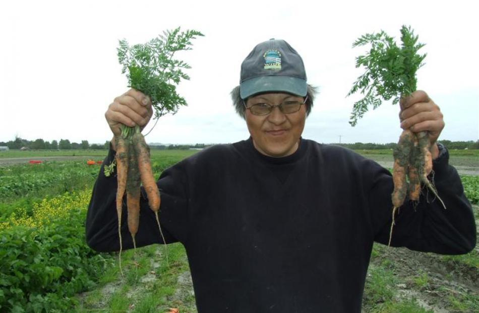 Frank Wong (51), holds carrots pulled from the Wong family's Inch Clutha market garden, which has...