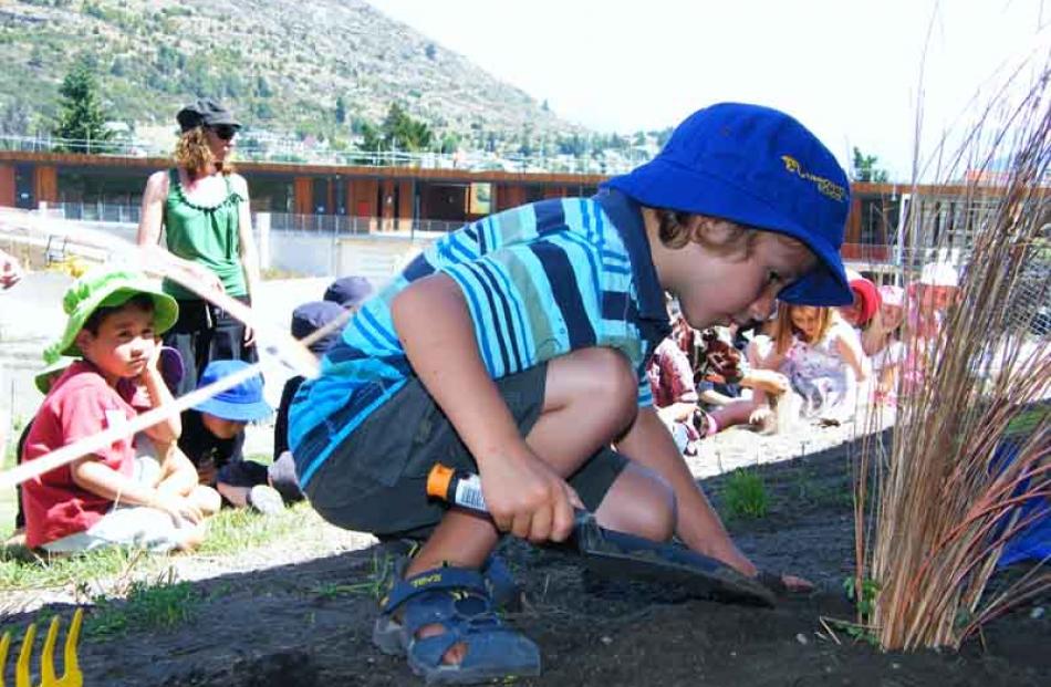 Ollie Ridd (5), of Lake Hayes Estate, plants his native plant with classmates in the shade of the...