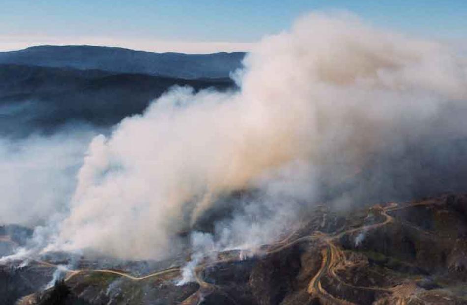 Cut-over forest burns. Photo by Gerard O'Brien.