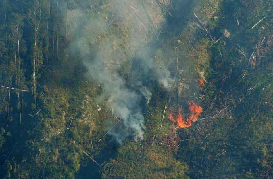 Fire spreads from the cut area toward mature trees. Photo by Gerard O'Brien.