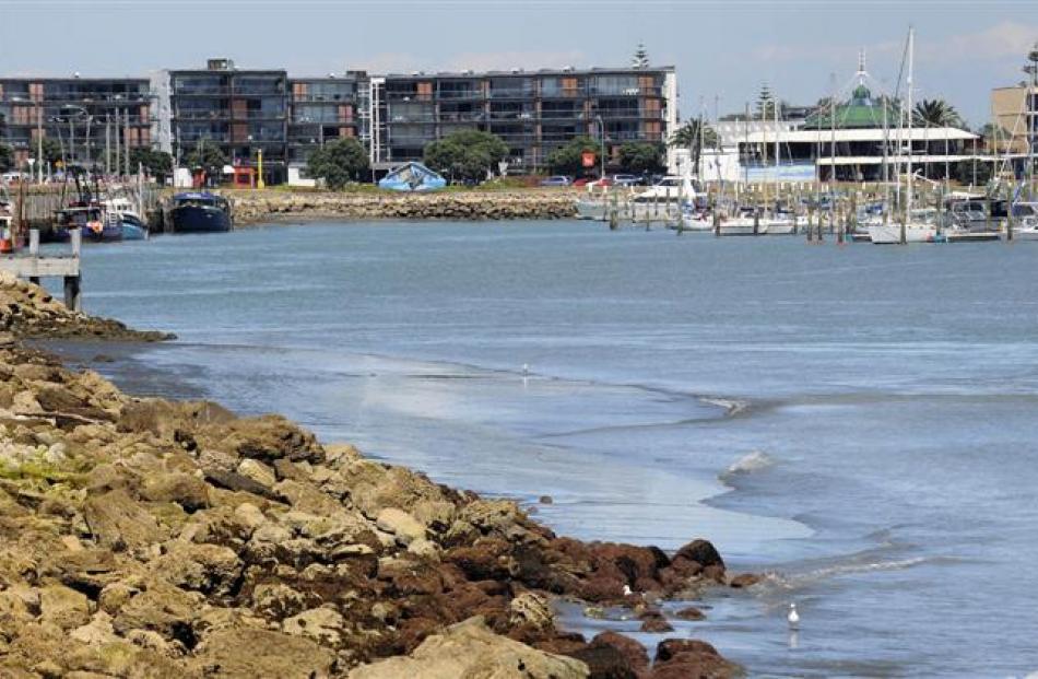 Mudflats rarely seen in Napier's Inner Harbour are exposed as surges from a tsunami upset normal...