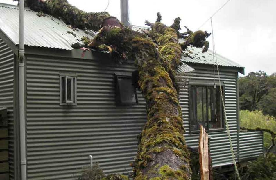 DOC Mackenzie Hut warden's quarters on the Routeburn Track damaged by a tree. Photo by Southern...