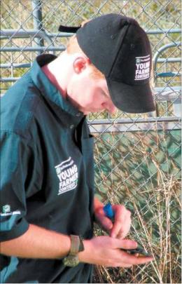 Thinking: Dunedin’s Luke Proctor (25) completes a feed budget. Pictures: Yvonne O’Hara