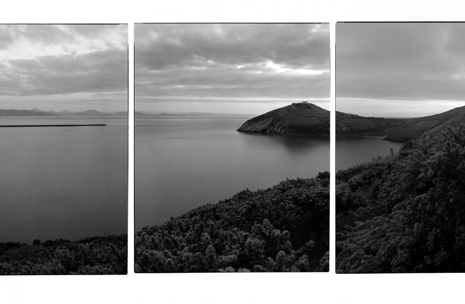 Mark Adam's Pilots Bay Taiaroa Head , a silver bromide photograph enlarged from 10x8 inch Kodak...