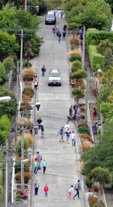 Cars and tourists battle for space on Dunedin's Baldwin St. Photo from ODT files