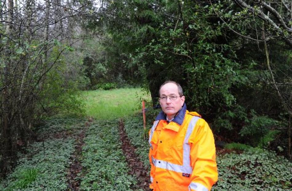 Simon Underwood inspects  the Caversham Valley Forest Reserve, which is gradually rejuvenating....