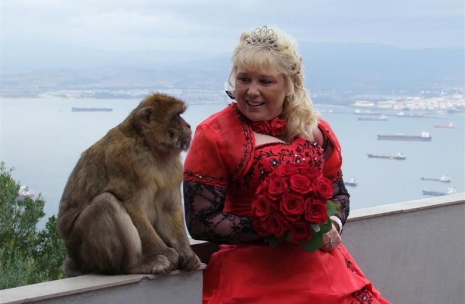 A Barbary ape joins a bride on top of the Rock. Photos by Gillian Vine.