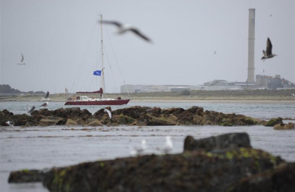 A charter yacht departs Bluff harbour past the Tiwai Point aluminium smelter. Photo by ODT.