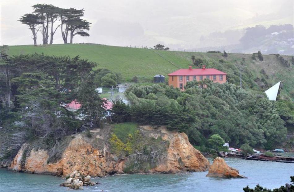 A fire burns in a hedge on Quarantine Island in Otago Harbour yesterday. Photos by Linda Robertson.