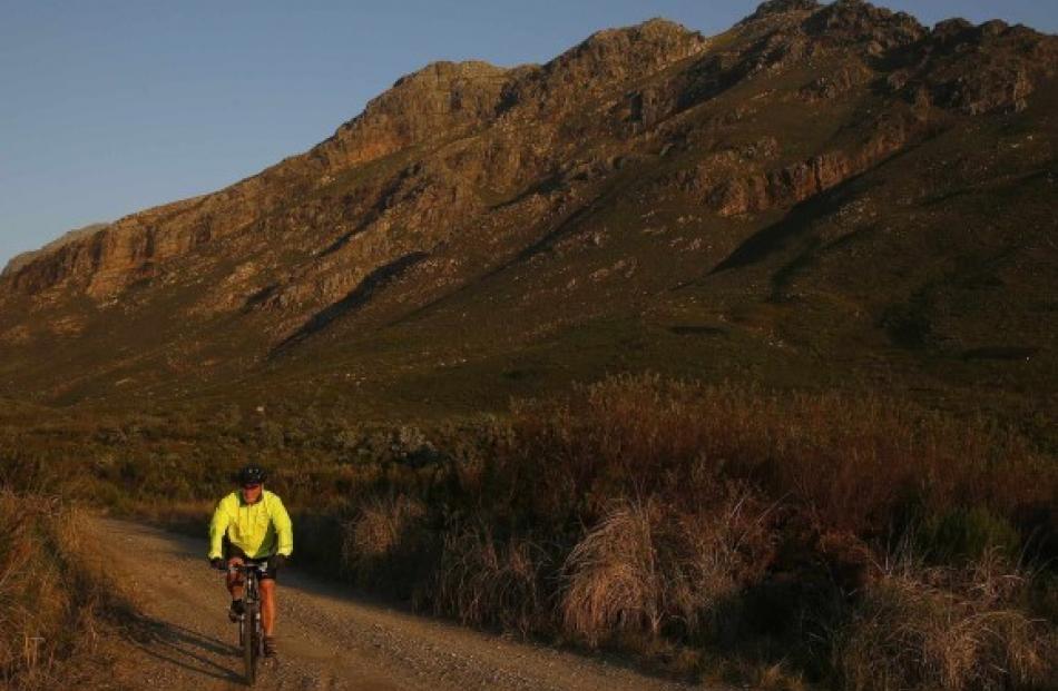 A mountain biker follows a trail in the Jonkershoek valley near Stellenbosch in the Cape...