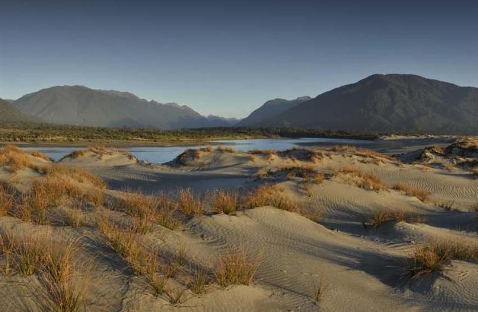 A newly-formed charitable trust will work with the Department of Conservation to restore native...