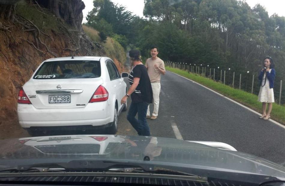 A rental car stopped in Highcliff Rd, on Otago Peninsula. Photo supplied.