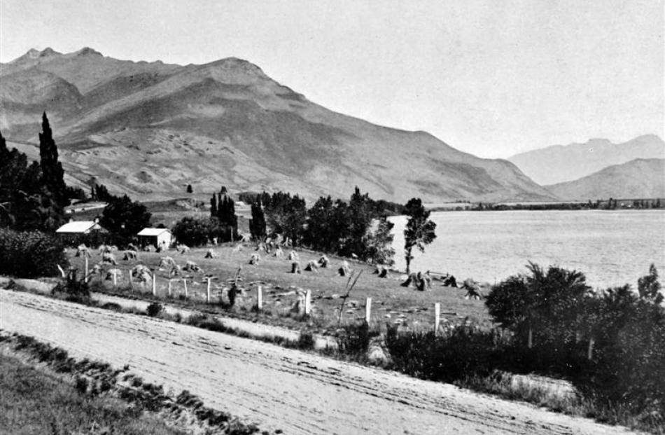 A rural scene at Lake Hayes in the Wakatipu district. - Otago Witness, 26.7.1914 Copies of...