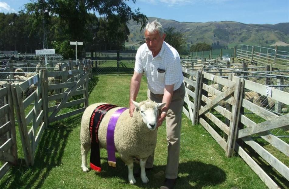 Wyndham farmer Malcolm McKelvie (70), with his family's supreme wool sheep at the 100th West...