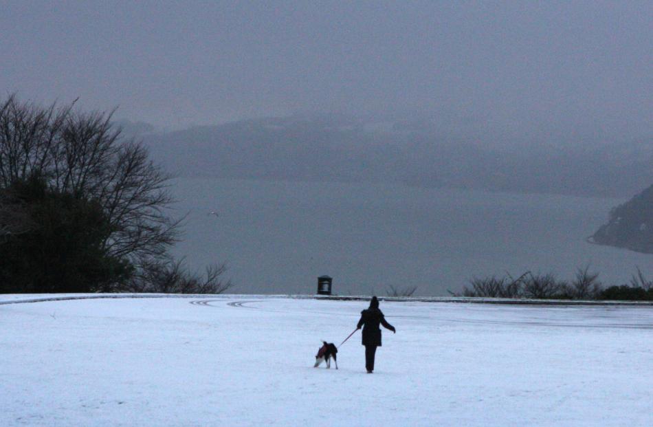 A woman takes her dog for a walk across to the lookout in Mornington. Photo by Christine O'Connor