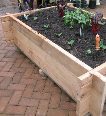 A wooden kitset garden that retails for about $225. Photos by Gillian Vine.