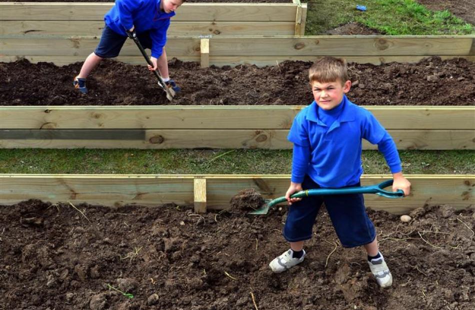 Abbotsford School pupils  Lewis Kennedy (back) and Jaydean Washington (both 8) prepare the soil...