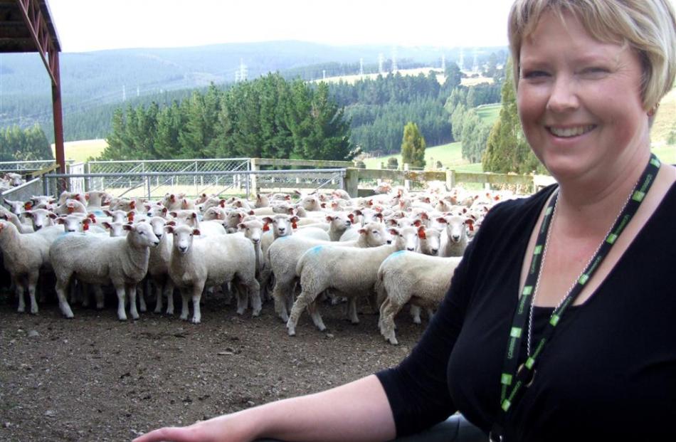 AgResearch reproduction team leader Sara Edwards, with hoggets at the Invermay farm. Photo by...