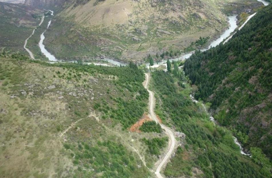 An aerial view of wilding pines spreading over the hillside at Roaring Meg, between Queenstown...