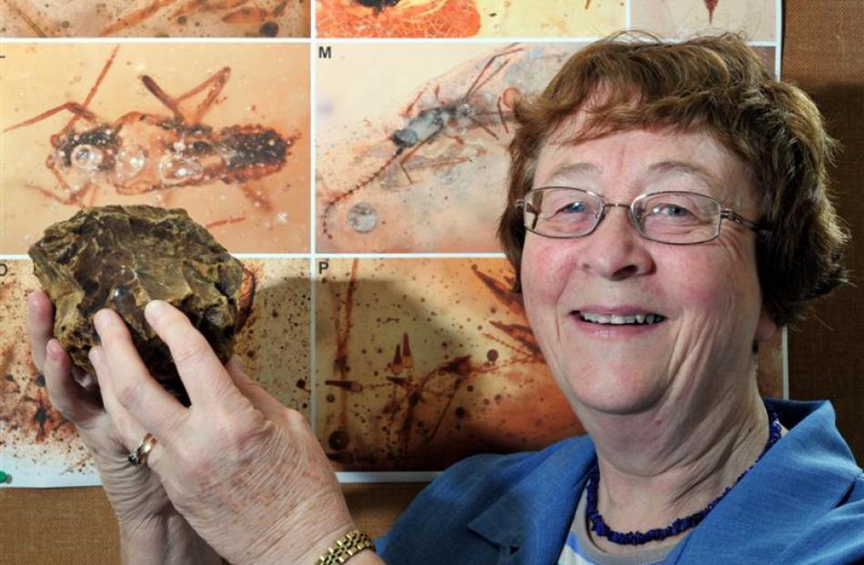 Associate Prof Daphne Lee, of the University of Otago geology department, holds a lump of...