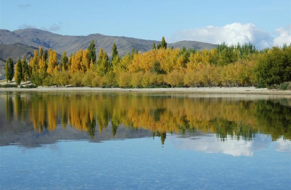 Autumn colours on display near Cromwell are reflected in the water of Lake Dunstan. Photo by...