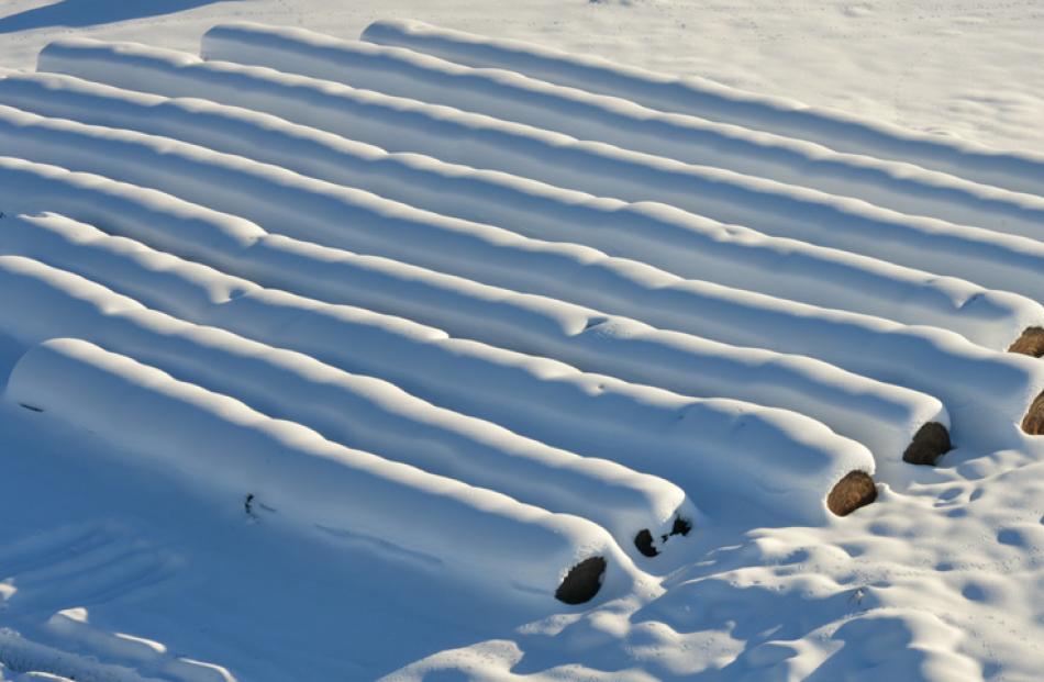 Baleage is disguised under snow near Falls Dam. Photos supplied/ODT.