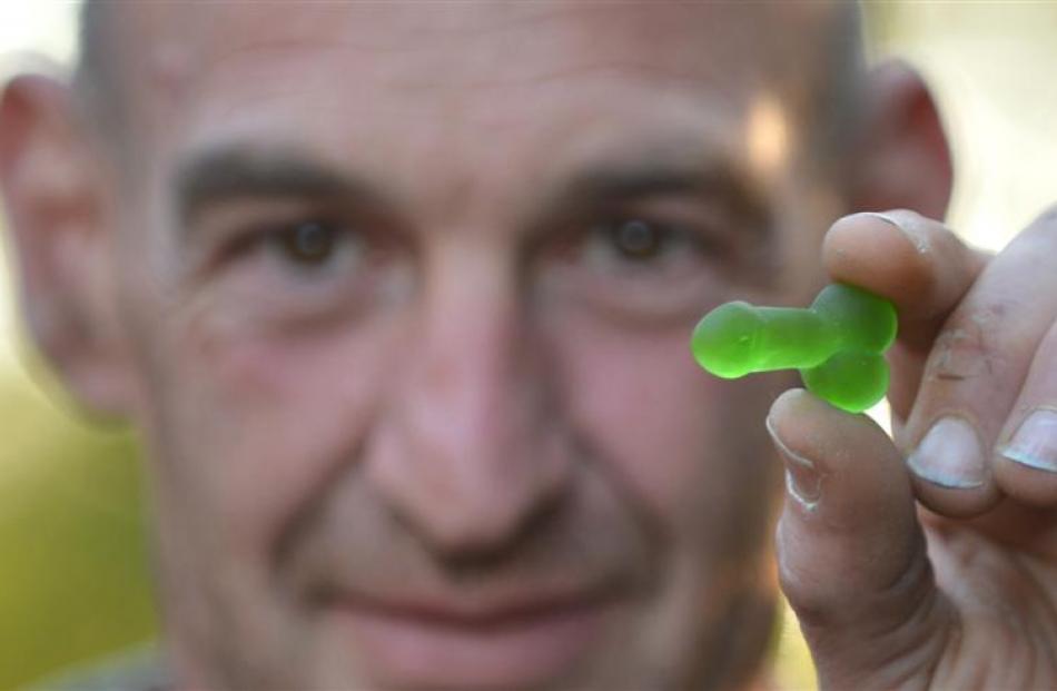 Barrie Aburn, of Dunedin, holds one of the offending lollies in Dunedin yesterday. Photo by Peter...