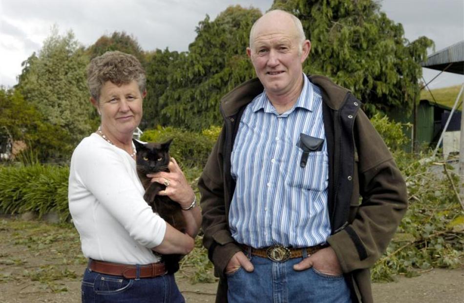 Basil the Burmese cat, having perhaps lost one or two of his nine lives - and pictured with...