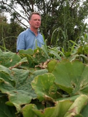 Bathgate Park School teacher Peter Buchanan stands behind ''Pumpkin Hill'' at the school's...