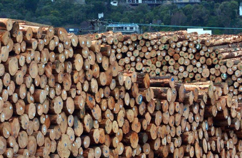 Belt tightening is ahead for the forestry sector after prices fell 25% in recent months. Photo by...