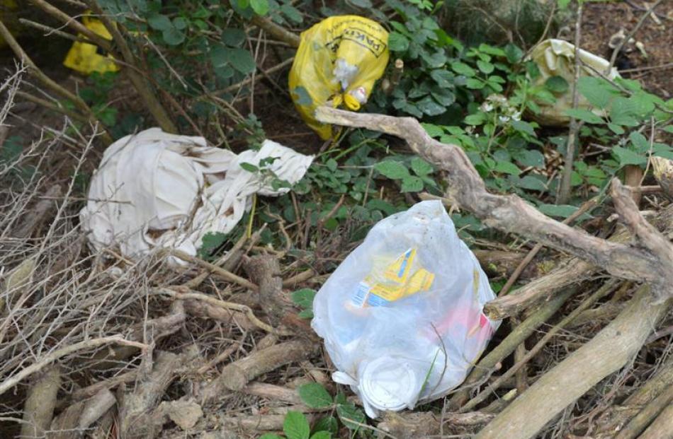 Black bags of rubbish, garden waste and other detritus lie discarded on Flagstaff-Whare Flat Rd,...