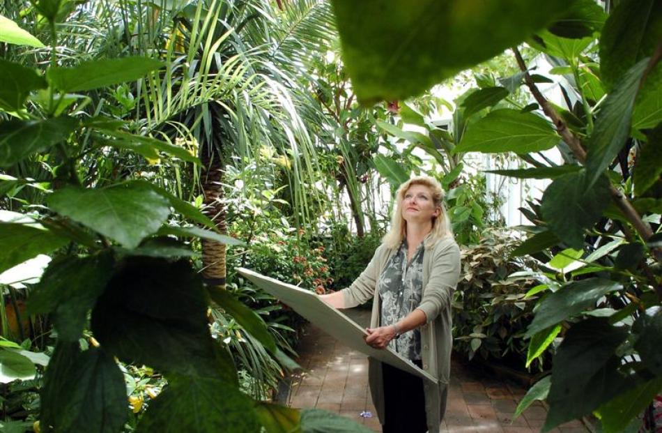 Botanical artist Sue Wickison at work in the Dunedin Botanic Garden winter garden. Photo by...