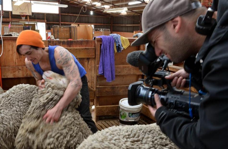 Cameraman Tom Walsh films shearer Quinton Thompson pulling out his next ewe. Photos by Stephen...