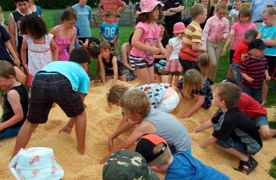 Children hunt for prizes in the Big Dig at the Tokomairiro A&P Show at Milton on Saturday. Photos...