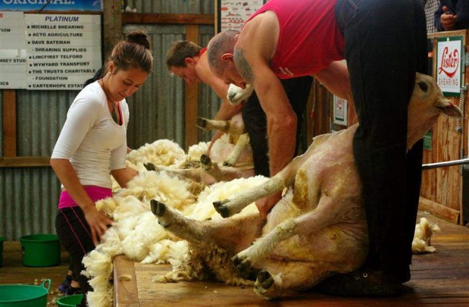 Chiquita Tamepo, of Winton, competes in the Melrose Station Junior Woolhandling competition while...