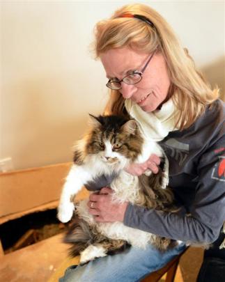 Clare Gardner sits near the hole in her lounge  cut by a builder to rescue her cat Meg from...