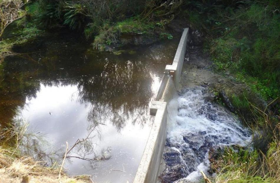 Concrete weirs such as the one at Akatore Creek near Waihola  keep trout from preying on Otago's...