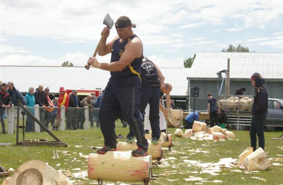 Darren Falconer from Allanton represents the Otago Axemen's Club in the division 2 underhand chop.