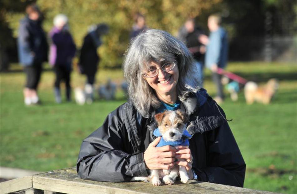 Deborah Mills with  Jack Russell puppy Willow at Shand Park. Photos by Linda Robertson.