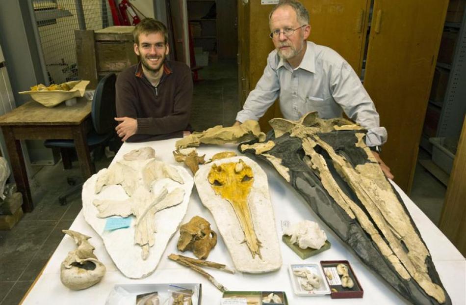 Dr Felix Marx (left) and Prof Ewan Fordyce, of the University of Otago geology department, look...