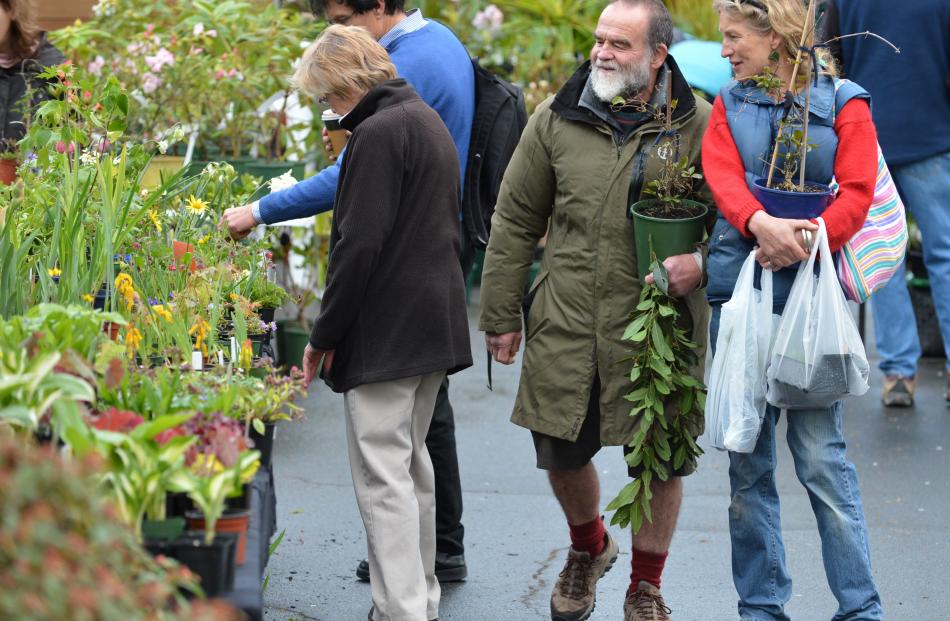 Dunedin gardeners Ray Wade and Ros Craven peruse the bargains at a plant sale at the Dunedin...
