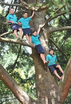 East Taieri School pupils (from left) Devin Colston (10), Jemma Wilson (9), Grace Cotter (10) and...
