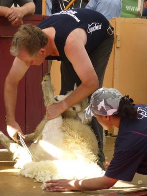 Fairlie shearer Tony Dobbs, shown here winning the Mackenzie Shears open blade shearing...
