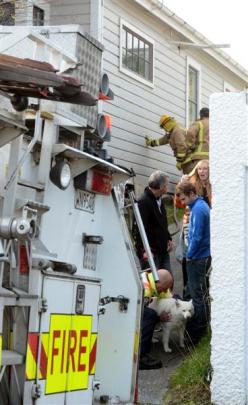 Firefighters examine a smoke-logged house after a grass fire in Dunedin yesterday. Photo by Linda...