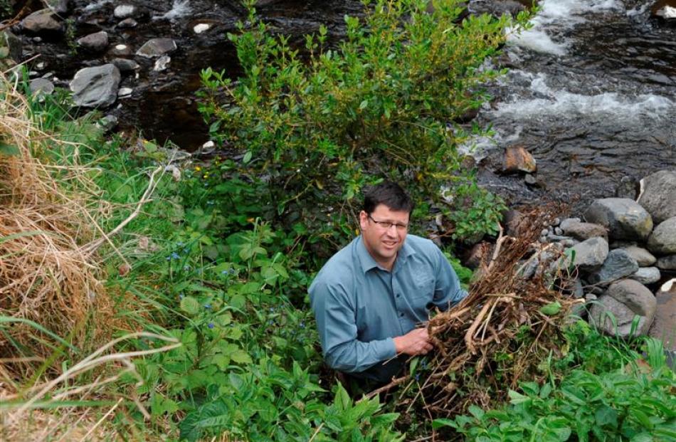 Fish and Game Otago operations manager Ian Hadland with the green waste dumped on the banks of...