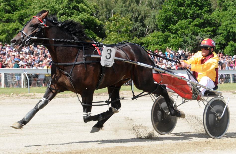 Franco Ledger wins the $30,000 Central Otago Cup at Omakau in January last year. Photo by Tayler...