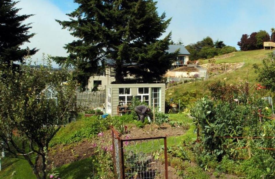 Kieran and Dorothy Hurring have established a productive garden on their steep but sheltered...
