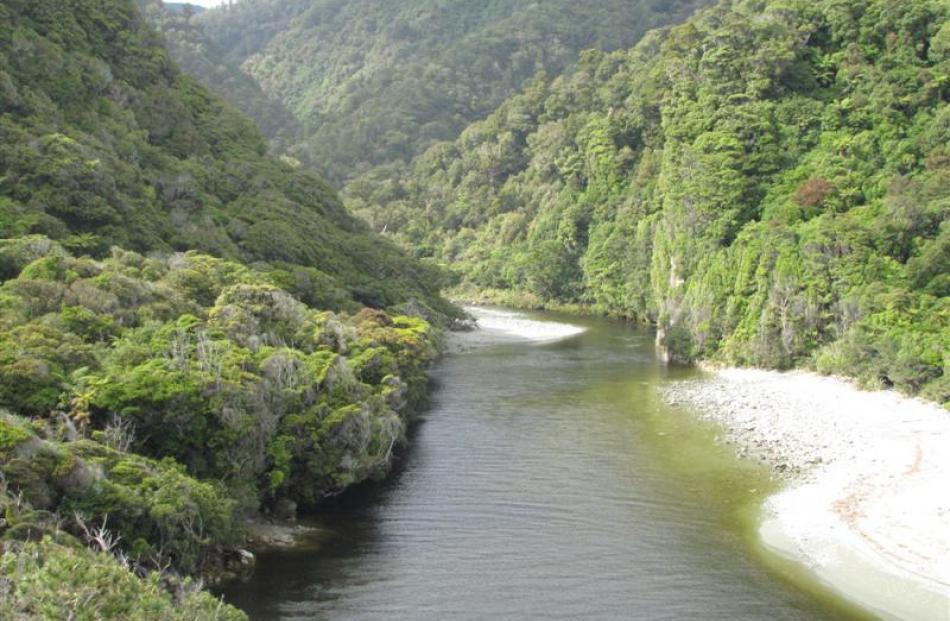Gorge River, South Westland. Photo by Marjorie Cook.